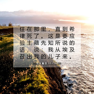 Picture 07 - 马 太 福 音 2:15 CUVS - 住 在 那 里 ， 直 到 希 律 死 了 。 - Bible Verse Picture