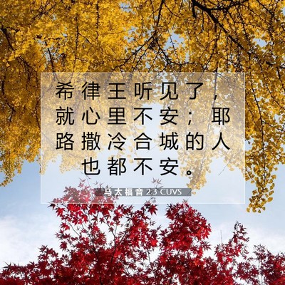 Picture 07 - 马 太 福 音 2:3 CUVS - 希 律 王 听 见 了 ， 就 心 里 不 安 - Bible Verse Picture