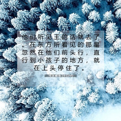 Picture 07 - 马 太 福 音 2:9 CUVS - 他 们 听 见 王 的 话 就 去 了 。 在 - Bible Verse Picture