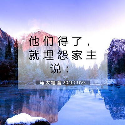 Picture 07 - 马 太 福 音 20:11 CUVS - 他 们 得 了 ， 就 埋 怨 家 主 说 - Bible Verse Picture