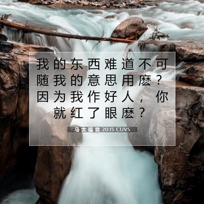 Picture 07 - 马 太 福 音 20:15 CUVS - 我 的 东 西 难 道 不 可 随 我 的 意 - Bible Verse Picture