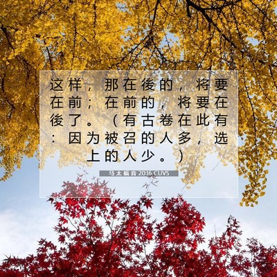 Picture 07 - 马 太 福 音 20:16 CUVS - 这 样 ， 那 在 後 的 ， 将 要 在 前 - Bible Verse Picture