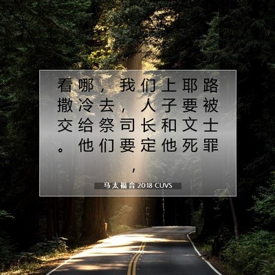 Picture 07 - 马 太 福 音 20:18 CUVS - 看 哪 ， 我 们 上 耶 路 撒 冷 去 ， - Bible Verse Picture