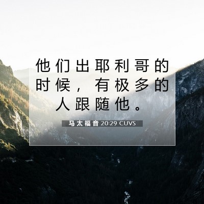 Picture 07 - 马 太 福 音 20:29 CUVS - 他 们 出 耶 利 哥 的 时 候 ， 有 极 - Bible Verse Picture