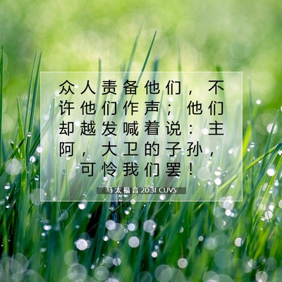 Picture 07 - 马 太 福 音 20:31 CUVS - 众 人 责 备 他 们 ， 不 许 他 们 作 - Bible Verse Picture