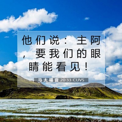 Picture 07 - 马 太 福 音 20:33 CUVS - 他 们 说 ： 主 阿 ， 要 我 们 的 眼 - Bible Verse Picture