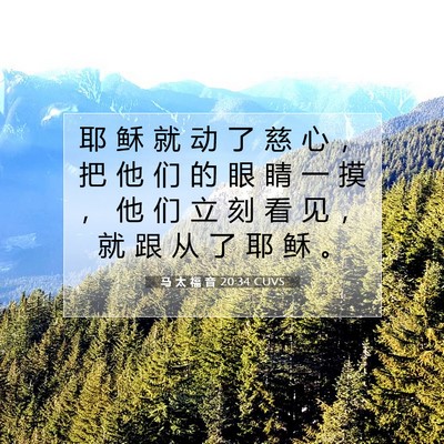 Picture 07 - 马 太 福 音 20:34 CUVS - 耶 稣 就 动 了 慈 心 ， 把 他 们 的 - Bible Verse Picture