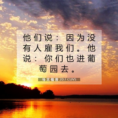 Picture 07 - 马 太 福 音 20:7 CUVS - 他 们 说 ： 因 为 没 有 人 雇 我 们 - Bible Verse Picture