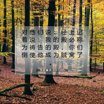 Picture 07 - 马 太 福 音 21:13 CUVS - 对 他 们 说 ： 经 上 记 着 说 ： 我 - Bible Verse Picture