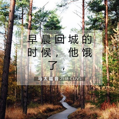 Picture 07 - 马 太 福 音 21:18 CUVS - 早 晨 回 城 的 时 候 ， 他 饿 了 - Bible Verse Picture
