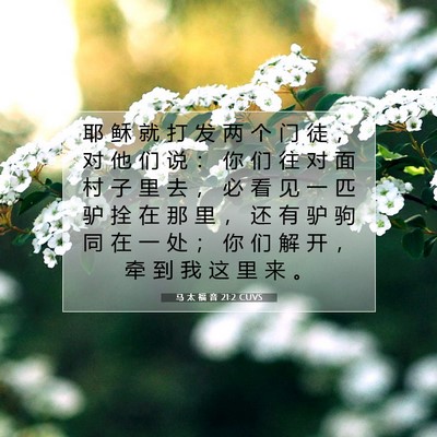 Picture 07 - 马 太 福 音 21:2 CUVS - 耶 稣 就 打 发 两 个 门 徒 ， 对 他 - Bible Verse Picture
