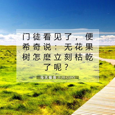 Picture 07 - 马 太 福 音 21:20 CUVS - 门 徒 看 见 了 ， 便 希 奇 说 ： 无 - Bible Verse Picture