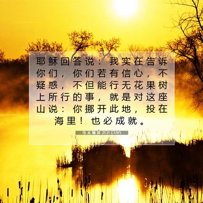 Picture 07 - 马 太 福 音 21:21 CUVS - 耶 稣 回 答 说 ： 我 实 在 告 诉 你 - Bible Verse Picture