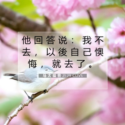 Picture 07 - 马 太 福 音 21:29 CUVS - 他 回 答 说 ： 我 不 去 ， 以 後 自 - Bible Verse Picture