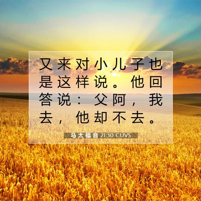 Picture 07 - 马 太 福 音 21:30 CUVS - 又 来 对 小 儿 子 也 是 这 样 说 。 - Bible Verse Picture