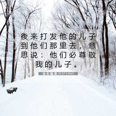 Picture 07 - 马 太 福 音 21:37 CUVS - 後 来 打 发 他 的 儿 子 到 他 们 那 - Bible Verse Picture