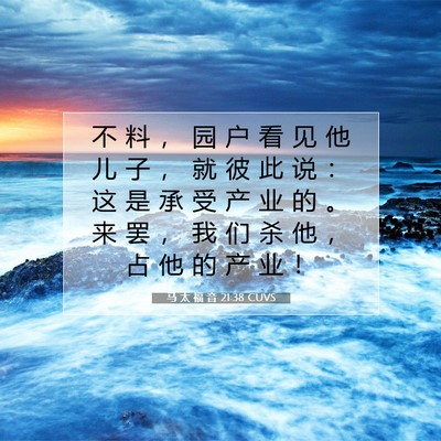 Picture 07 - 马 太 福 音 21:38 CUVS - 不 料 ， 园 户 看 见 他 儿 子 ， 就 - Bible Verse Picture