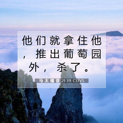 Picture 07 - 马 太 福 音 21:39 CUVS - 他 们 就 拿 住 他 ， 推 出 葡 萄 园 - Bible Verse Picture