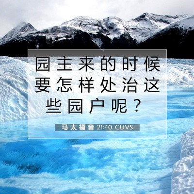 Picture 07 - 马 太 福 音 21:40 CUVS - 园 主 来 的 时 候 要 怎 样 处 治 这 - Bible Verse Picture