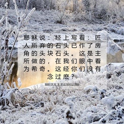 Picture 07 - 马 太 福 音 21:42 CUVS - 耶 稣 说 ： 经 上 写 着 ： 匠 人 所 - Bible Verse Picture