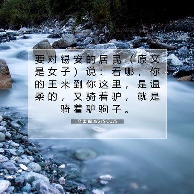 Picture 07 - 马 太 福 音 21:5 CUVS - 要 对 锡 安 的 居 民 （ 原 文 是 女 - Bible Verse Picture