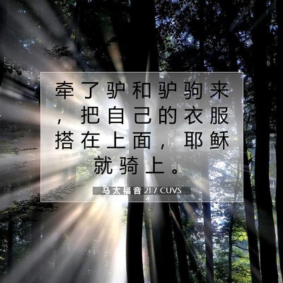 Picture 07 - 马 太 福 音 21:7 CUVS - 牵 了 驴 和 驴 驹 来 ， 把 自 己 的 - Bible Verse Picture