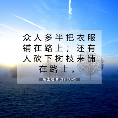 Picture 07 - 马 太 福 音 21:8 CUVS - 众 人 多 半 把 衣 服 铺 在 路 上 ； - Bible Verse Picture