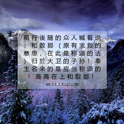 Picture 07 - 马 太 福 音 21:9 CUVS - 前 行 後 随 的 众 人 喊 着 说 ： 和 - Bible Verse Picture