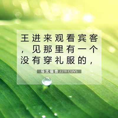 Picture 07 - 马 太 福 音 22:11 CUVS - 王 进 来 观 看 宾 客 ， 见 那 里 有 - Bible Verse Picture