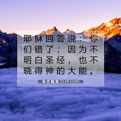 Picture 07 - 马 太 福 音 22:29 CUVS - 耶 稣 回 答 说 ： 你 们 错 了 ； 因 - Bible Verse Picture