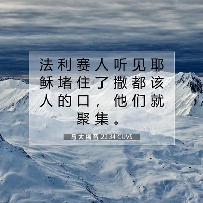 Picture 07 - 马 太 福 音 22:34 CUVS - 法 利 赛 人 听 见 耶 稣 堵 住 了 撒 - Bible Verse Picture