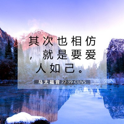 Picture 07 - 马 太 福 音 22:39 CUVS - 其 次 也 相 仿 ， 就 是 要 爱 人 如 - Bible Verse Picture