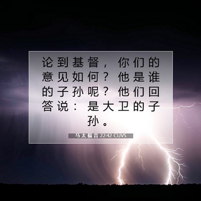 Picture 07 - 马 太 福 音 22:42 CUVS - 论 到 基 督 ， 你 们 的 意 见 如 何 - Bible Verse Picture