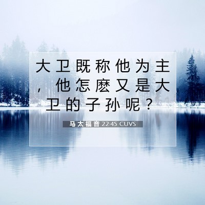 Picture 07 - 马 太 福 音 22:45 CUVS - 大 卫 既 称 他 为 主 ， 他 怎 麽 又 - Bible Verse Picture