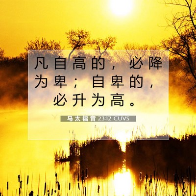Picture 07 - 马 太 福 音 23:12 CUVS - 凡 自 高 的 ， 必 降 为 卑 ； 自 卑 - Bible Verse Picture