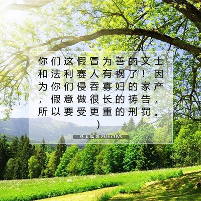 Picture 07 - 马 太 福 音 23:14 CUVS - 你 们 这 假 冒 为 善 的 文 士 和 法 - Bible Verse Picture