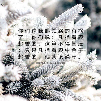 Picture 07 - 马 太 福 音 23:16 CUVS - 你 们 这 瞎 眼 领 路 的 有 祸 了 ！ - Bible Verse Picture