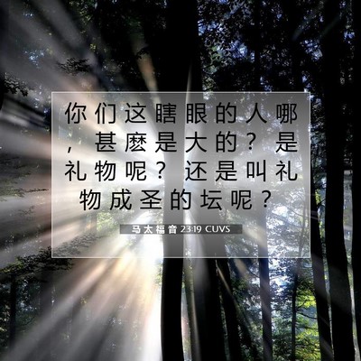 Picture 07 - 马 太 福 音 23:19 CUVS - 你 们 这 瞎 眼 的 人 哪 ， 甚 麽 是 - Bible Verse Picture