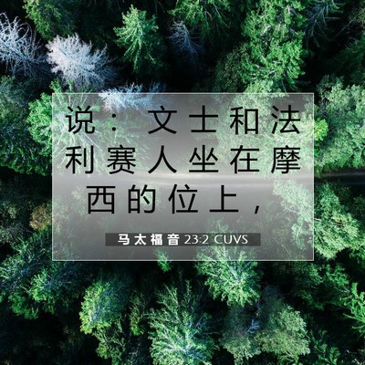 Picture 07 - 马 太 福 音 23:2 CUVS - 说 ： 文 士 和 法 利 赛 人 坐 在 摩 - Bible Verse Picture