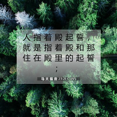 Picture 07 - 马 太 福 音 23:21 CUVS - 人 指 着 殿 起 誓 ， 就 是 指 着 殿 - Bible Verse Picture