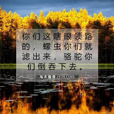 Picture 07 - 马 太 福 音 23:24 CUVS - 你 们 这 瞎 眼 领 路 的 ， 蠓 虫 你 - Bible Verse Picture