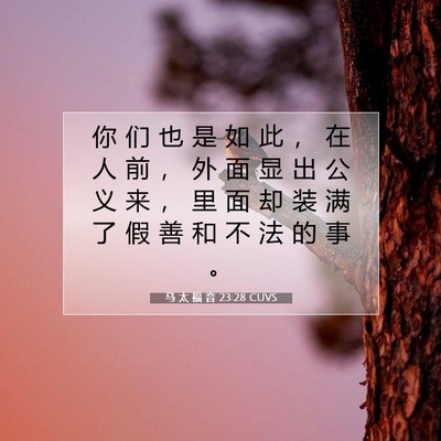 Picture 07 - 马 太 福 音 23:28 CUVS - 你 们 也 是 如 此 ， 在 人 前 ， 外 - Bible Verse Picture