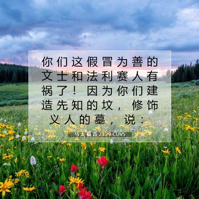 Picture 07 - 马 太 福 音 23:29 CUVS - 你 们 这 假 冒 为 善 的 文 士 和 法 - Bible Verse Picture