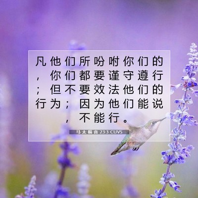Picture 07 - 马 太 福 音 23:3 CUVS - 凡 他 们 所 吩 咐 你 们 的 ， 你 们 - Bible Verse Picture