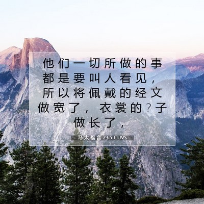 Picture 07 - 马 太 福 音 23:5 CUVS - 他 们 一 切 所 做 的 事 都 是 要 叫 - Bible Verse Picture
