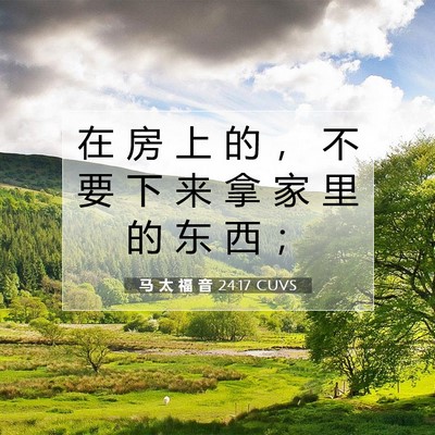 Picture 07 - 马 太 福 音 24:17 CUVS - 在 房 上 的 ， 不 要 下 来 拿 家 里 - Bible Verse Picture