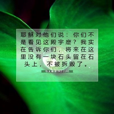 Picture 07 - 马 太 福 音 24:2 CUVS - 耶 稣 对 他 们 说 ： 你 们 不 是 看 - Bible Verse Picture