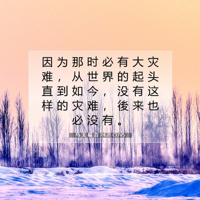 Picture 07 - 马 太 福 音 24:21 CUVS - 因 为 那 时 必 有 大 灾 难 ， 从 世 - Bible Verse Picture