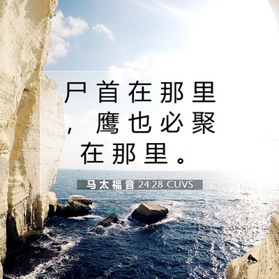 Picture 07 - 马 太 福 音 24:28 CUVS - 尸 首 在 那 里 ， 鹰 也 必 聚 在 那 - Bible Verse Picture