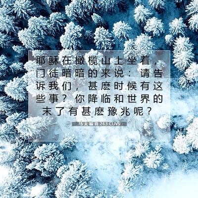 Picture 07 - 马 太 福 音 24:3 CUVS - 耶 稣 在 橄 榄 山 上 坐 着 ， 门 徒 - Bible Verse Picture